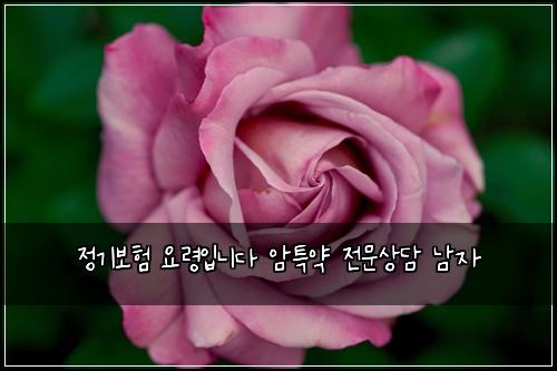 ์ ๊ธฐ๋ณดํ ์๋ น์
๋๋ค ์ํน์ฝ ์ ๋ฌธ์๋ด ๋จ์