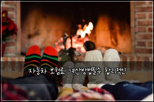 자동차 보험료 계산방법필수 합리적인