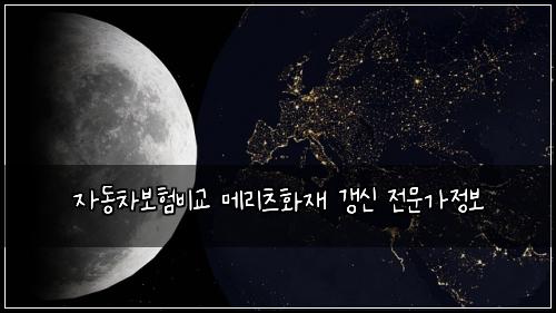 자동차보험비교 메리츠화재 갱신 전문가정보