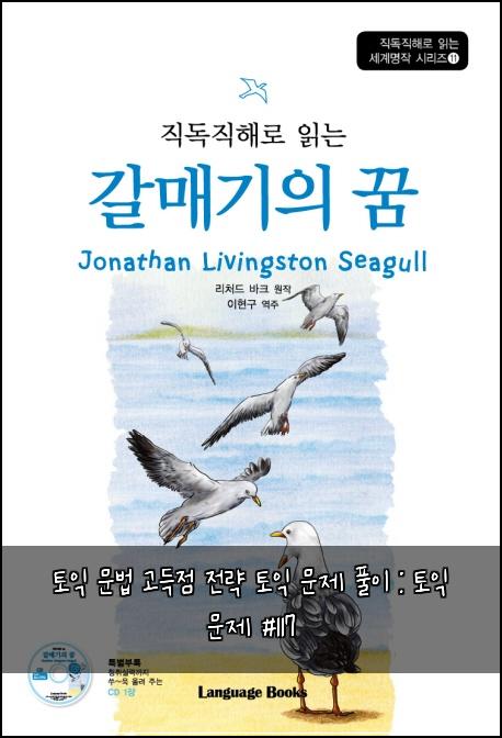 토익 문법 고득점 전략 토익 문제 풀이 : 토익 문제 #117