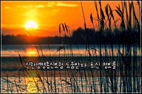 신한생명종신보험 도움받자  최신 정보를