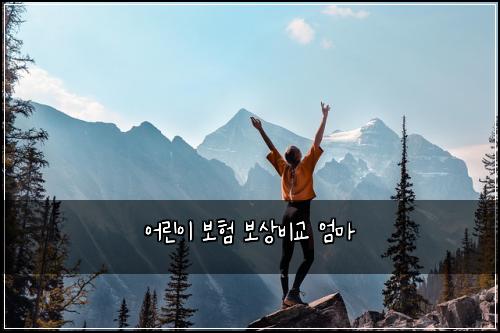 μ΄λ¦°μ΄ 보ν 보μλΉκ΅ μλ§