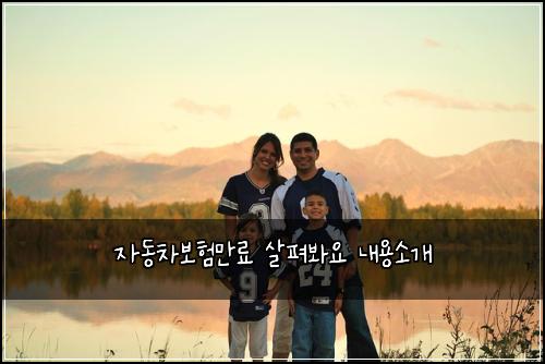 자동차보험만료 살펴봐요 내용소개