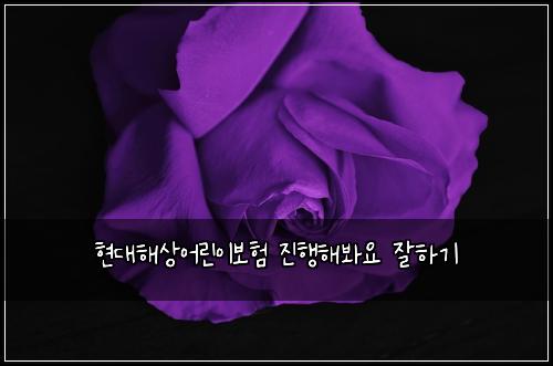 현대해상어린이보험 진행해봐요  잘하기