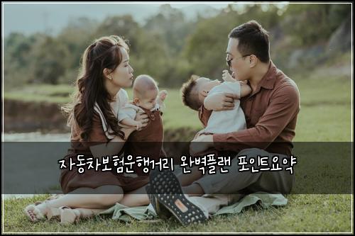 자동차보험운행거리 완벽플랜 포인트요약