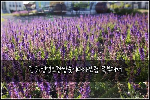 ํํ์๋ช
๋ณดํ์๋ฅ์ดํ์๋ณดํ ๋๋ถ๋ฌ์ ธ