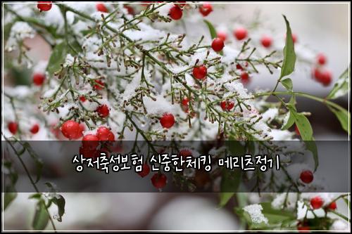 ์์ ์ถ์ฑ๋ณดํ ์ ์คํ์ฒดํน ๋ฉ๋ฆฌ์ธ ์ ๊ธฐ