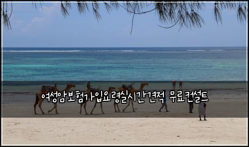 여성암보험가입요령실시간견적 무료컨설트