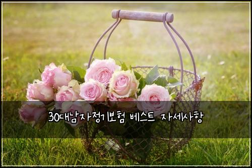 30대남자정기보험 베스트  자세사항