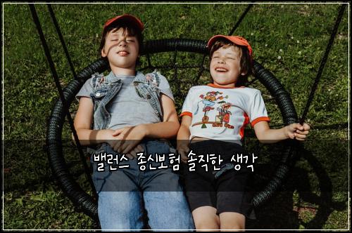밸런스 종신보험 솔직한 생각