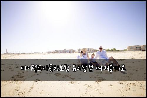 λ€μ΄λ νΈμλ차보ν μ μν μ λ°μ Έλ³ΌκΉμ