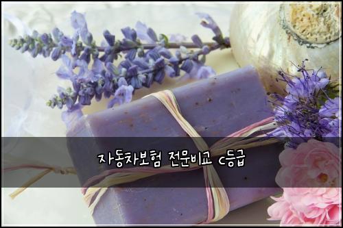 자동차보험 전문비교  c등급