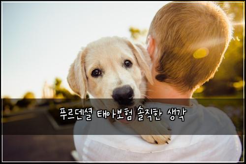 푸르덴셜 태아보험 솔직한 생각