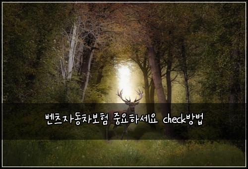 ๋ฒค์ธ ์๋์ฐจ๋ณดํ ์ค์ํ์ธ์ check๋ฐฉ๋ฒ