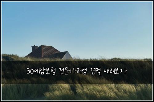 30์ธ์๋ณดํ ์ ๋ฌธ๊ฐ์ฒ๋ผ ๊ฒฌ์ ๋ด๋ ค๋ณด์