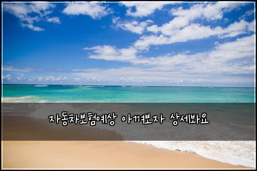 μλ차보νμμ μ껴보μ μμΈλ΄μ