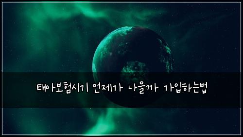 태아보험시기 언제가 나을까 가입하는법