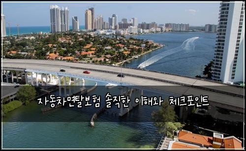 자동차면탈보험 솔직한 이해와 체크포인트