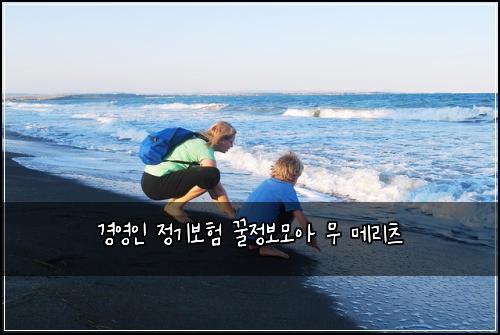 경영인 정기보험 꿀정보모아  무 메리츠