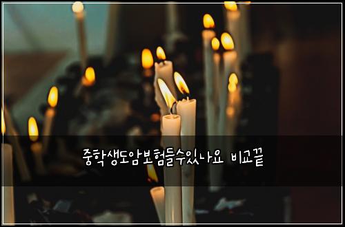 중학생도암보험들수있나요 비교끝