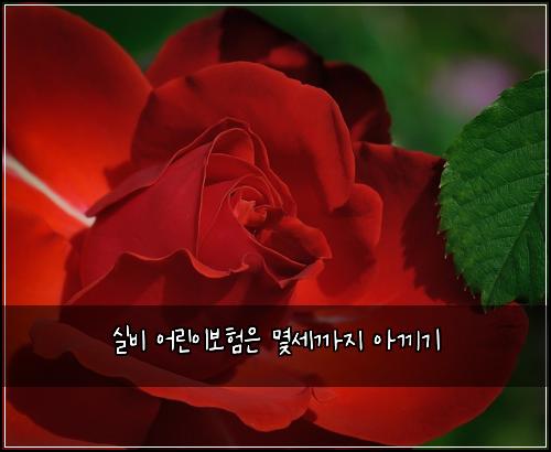 실비 어린이보험은 몇세까지 아끼기