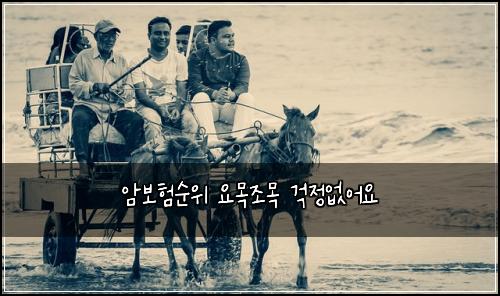 ์๋ณดํ์์ ์๋ชฉ์กฐ๋ชฉ ๊ฑฑ์ ์์ด์