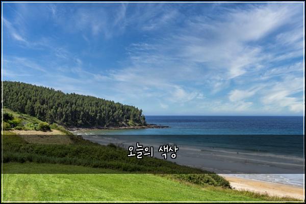 오늘의 색상