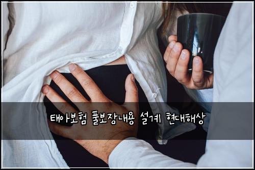 태아보험 풀보장내용  설계 현대해상