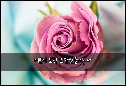 ์ด๋ฆฐ์ด ๋ณดํ ๋ณด์ฅ๋ฐ์๊น ์ฌ