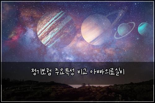 정기보험 주요특성  비교 아빠의료실비