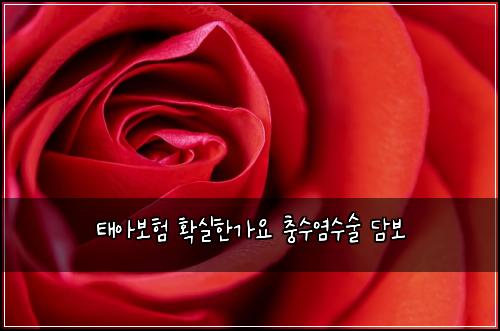 ํ์๋ณดํ ํ์คํ๊ฐ์ ์ถฉ์์ผ์์ ๋ด๋ณด