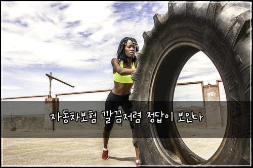 자동차보험 깔끔저렴  정답이 보인다