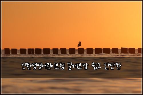 신한생명어린이보험 길게보장  쉽고 간단한