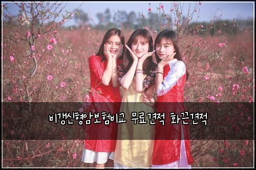 비갱신형암보험비교 무료견적 화끈견적