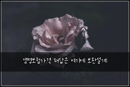 생명보험가격 해답은 여기에 보완설계