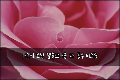 어린이 보험 젤좋았어용  과 동부 비교좀