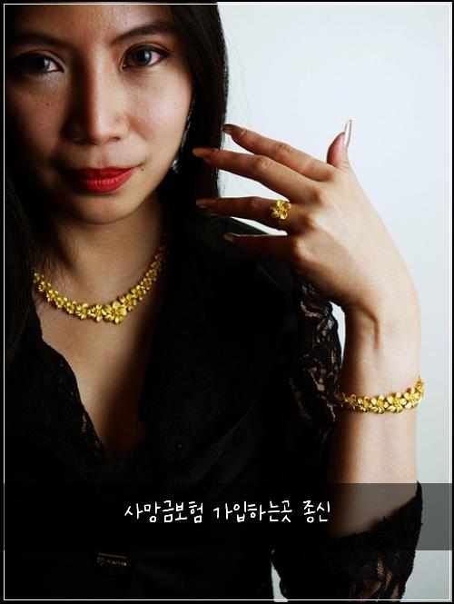 사망금보험 가입하는곳  종신