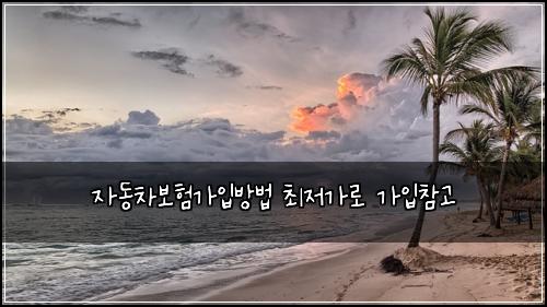 자동차보험가입방법 최저가로 가입참고