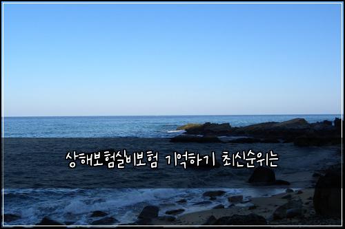 ์ํด๋ณดํ์ค๋น๋ณดํ ๊ธฐ์ตํ๊ธฐ ์ต์ ์์๋