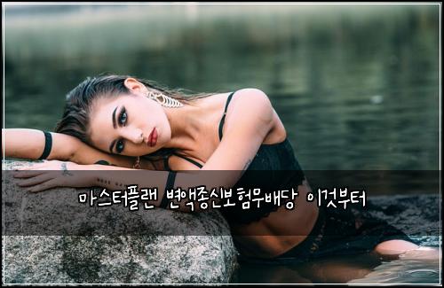 마스터플랜 변액종신보험무배당 이것부터