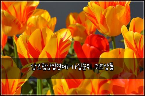 암보험납입면제 가입순위 히트상품