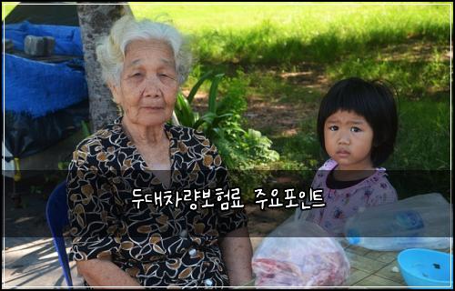 두대차량보험료 주요포인트