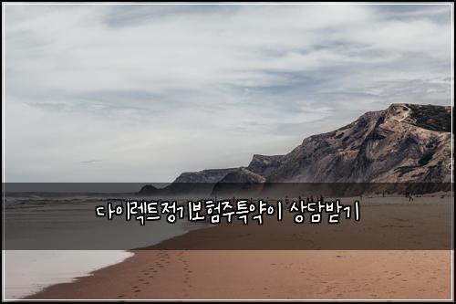 다이렉트정기보험주특약이 상담받기