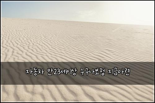 ์๋์ฐจ ๋ง23์ธ์ด์ ๋๊ตฌ๋๋ณดํ ์ง๊ธ๋ง๋ จ
