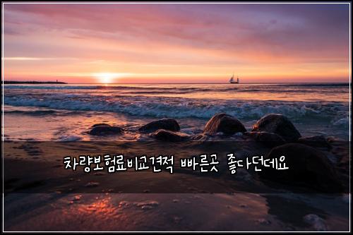 차량보험료비교견적 빠른곳 좋다던데요