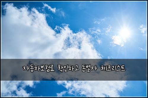 μλ차보νλ£ νμΈνκ³ λλ²μ 체ν¬λ¦¬μ€νΈ