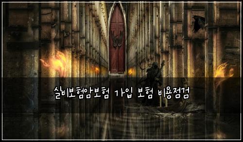 실비보험암보험 가입 보험 비용점검