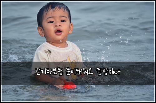 전기차보험 준비해줘요  한방shot