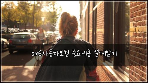 sm6자동차보험 중요내용  설계받기