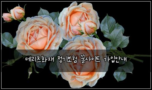 λ©λ¦¬μΈ νμ¬ μ 기보ν κΏμ¬μ΄νΈ κ°μ
μλ΄